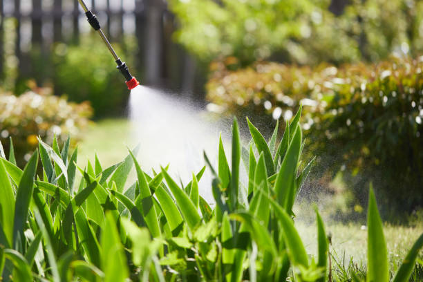 24/7 Emergency Rodent Control experts in Mayo, FL