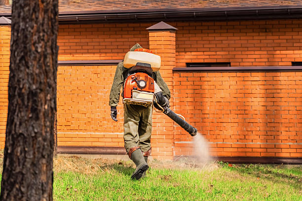Trusted Mosquito Control service in Mayo, FL - Nex Pest Control